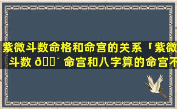 紫微斗数命格和命宫的关系「紫微斗数 🐴 命宫和八字算的命宫不一样」